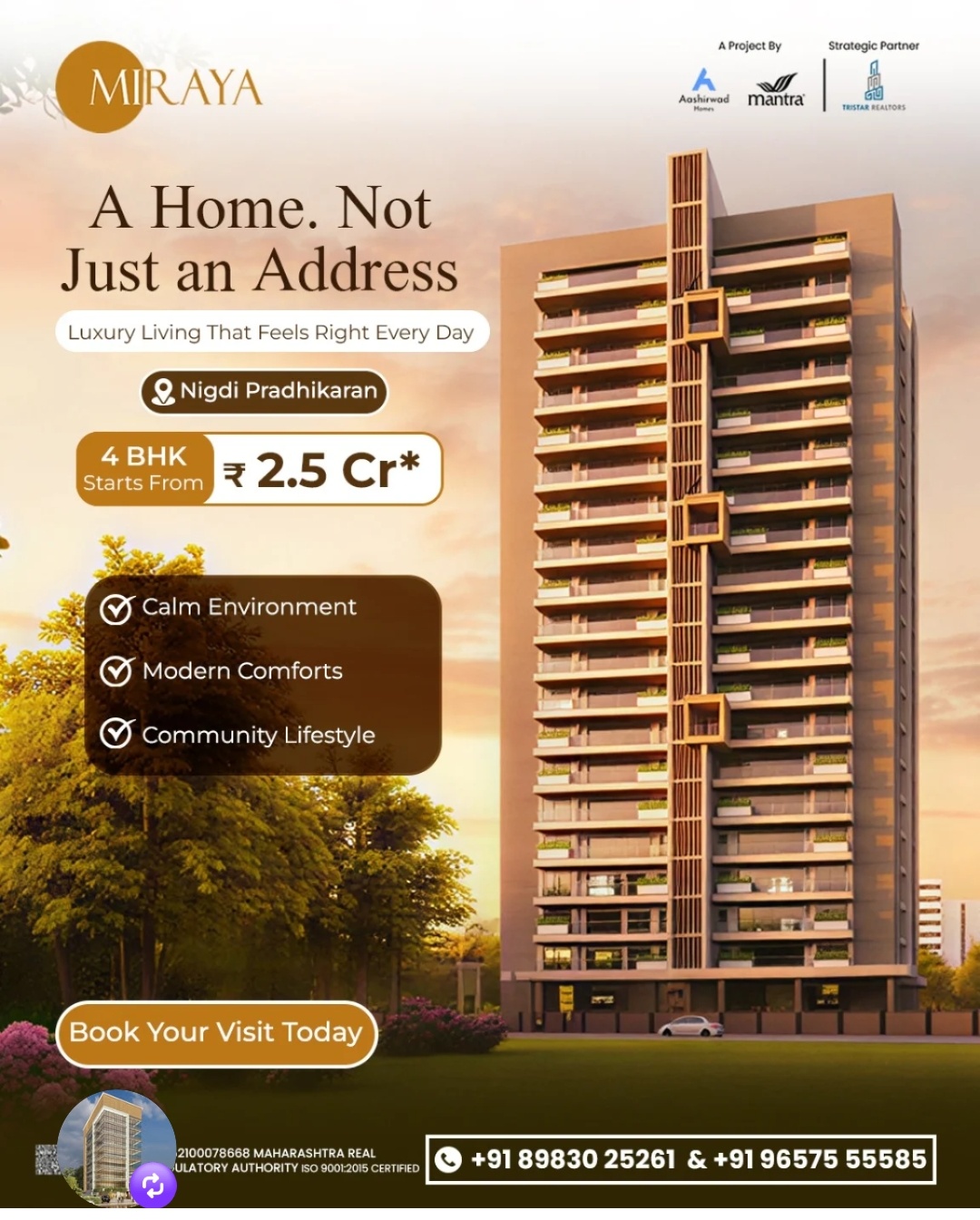 Miraya Project View 10